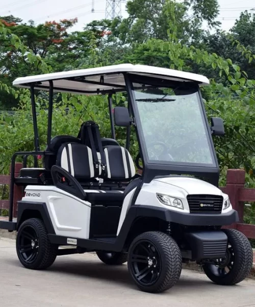 <strong>Best Charleston golf cart rentals</strong>