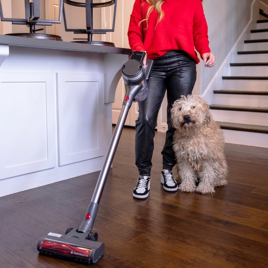 pet hair and hardwood floors