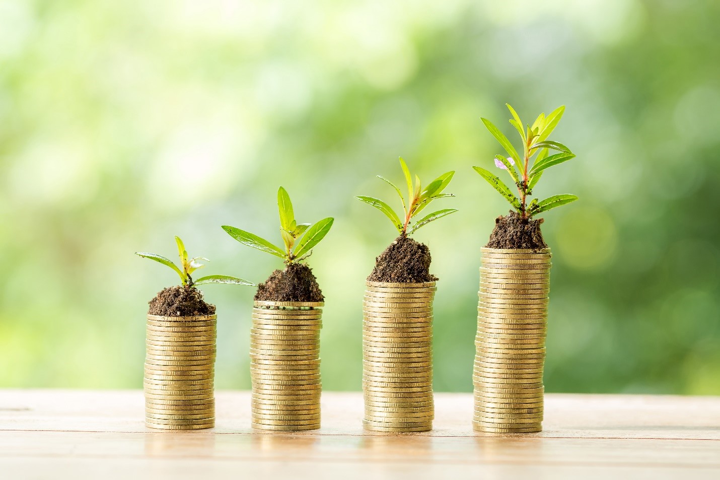Fixed Deposits in a Diversified Tax-Saving Portfolio