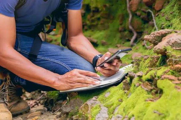 Protected Species Problems - Review Surveys Before Disturbing Land
